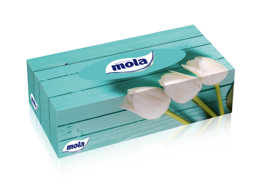 Chusteczki higieniczne Mola BigBox kartonik 120 szt.