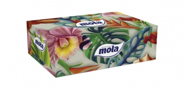 Chusteczki higieniczne Mola Family BOx kartonik 150 szt.