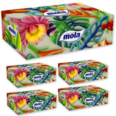 Chusteczki higieniczne Mola Family BOX 750 szt. 5 op.