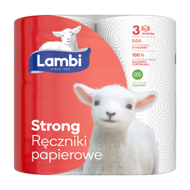 Ręcznik papierowy Lambi Strong 2 szt.